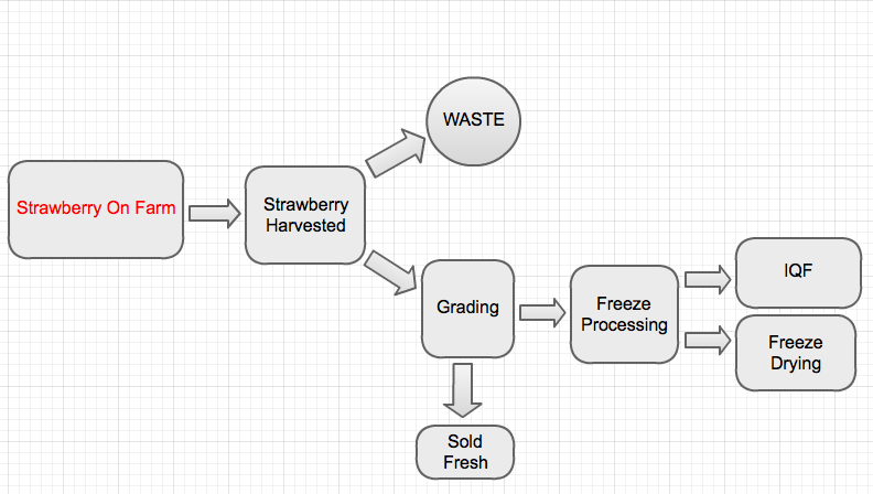 Frozen Food Process Flow Chart