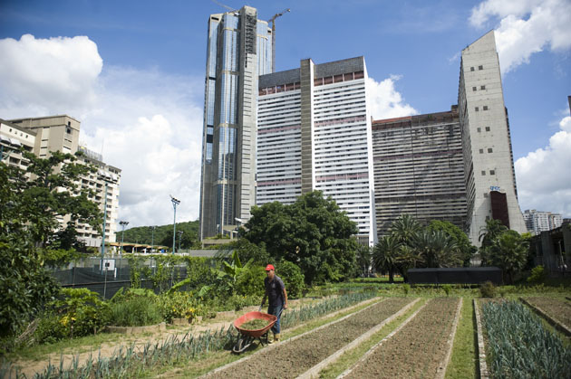 File:Urban Agriculture.jpg