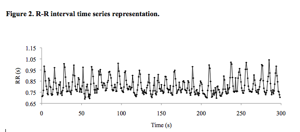 File:R-R interval time series representation..png
