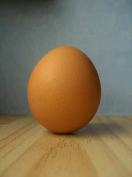 File:FNH200 Lesson02 Egg.jpg
