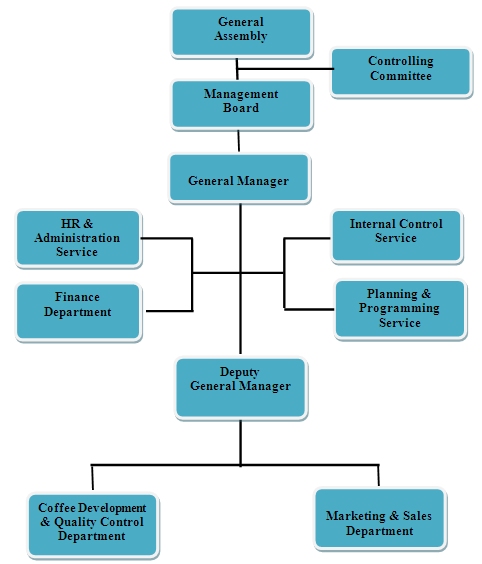 File:The Governance Structure of YCFCU.jpg