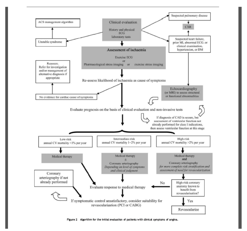 Ischemic Heart Disease algorithm for angina.png