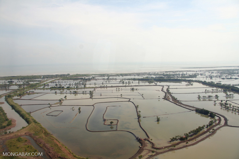 File:Aquaculture Ponds in Indonesia.jpg