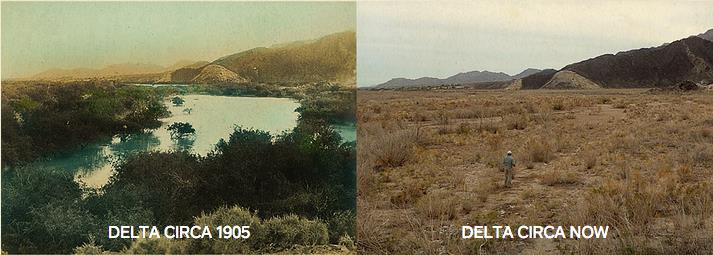 File:Colorado River Delta degradation due to lack of water flow.jpg