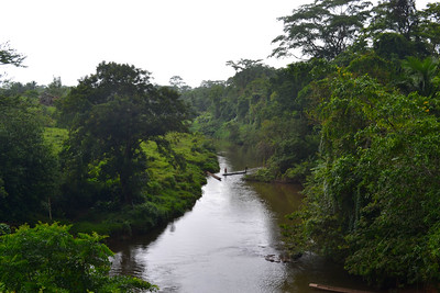 File:Río Pis Pis in the Bosawas Biosphere Reserve, Nicaragua.jpg