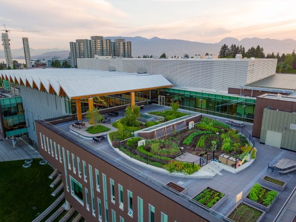 File:Roots on the Roof UBC.jpg