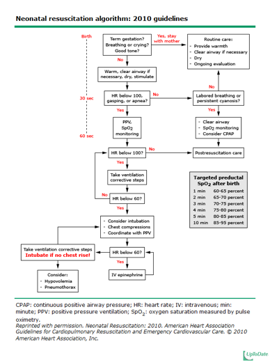 Newborn resuscitation guideline.png