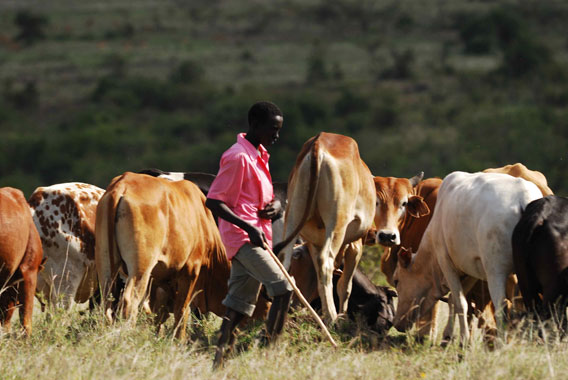 File:Pastoralists in Kenya.jpg