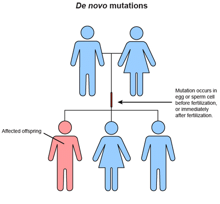 File:De Novo Mutation.gif