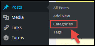 how to add categories to a WP post