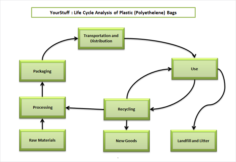 Life cycle.png