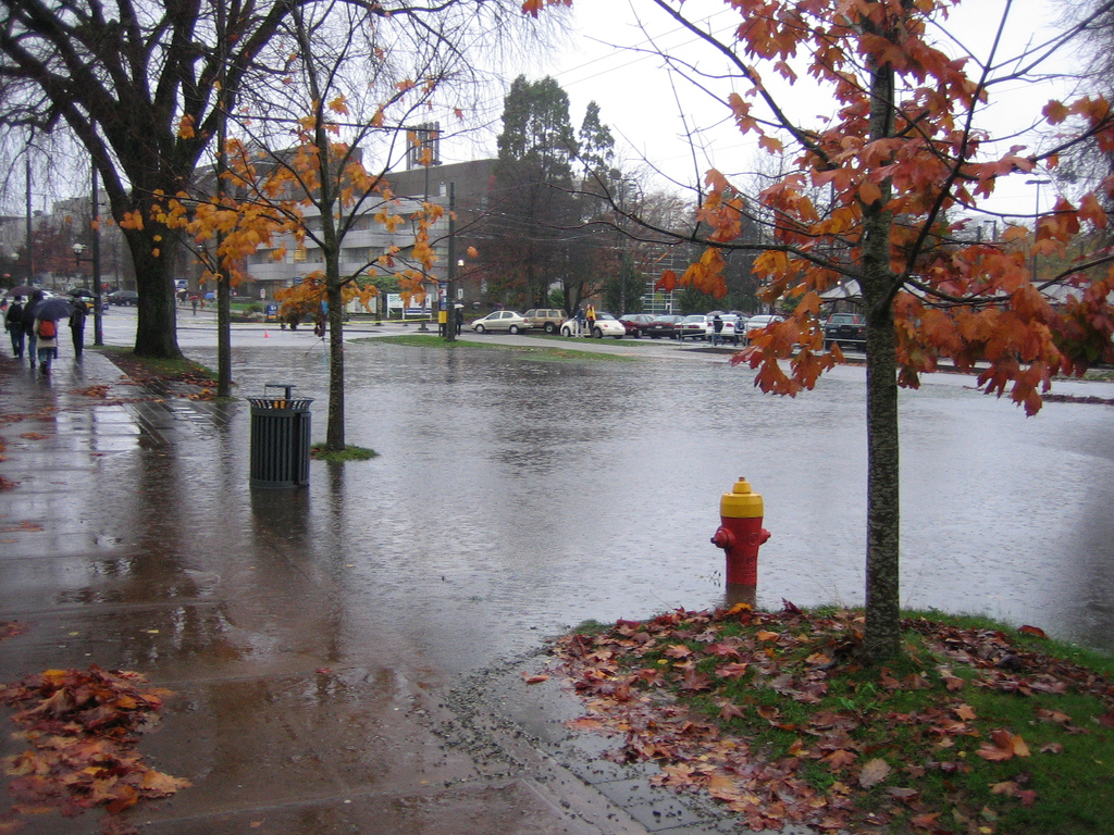 Rainy Day in UBC.jpeg