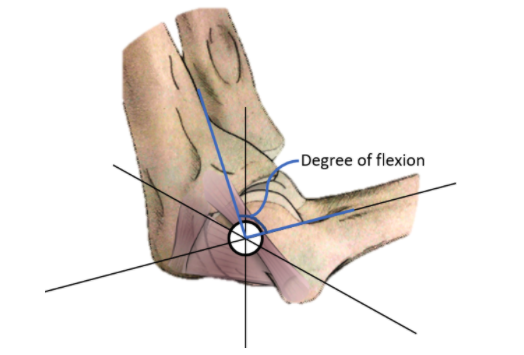 File:Figure 2. Degrees of Elbow Flexion.png
