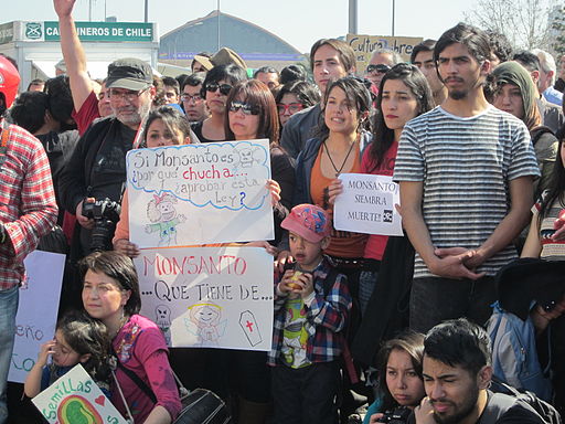 File:March Against Monsanto in Chile.jpg