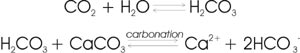 File:Chemical Formula - Carbonation.jpg