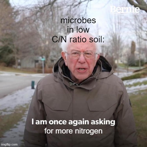 File:Bernie soil microbes.jpg