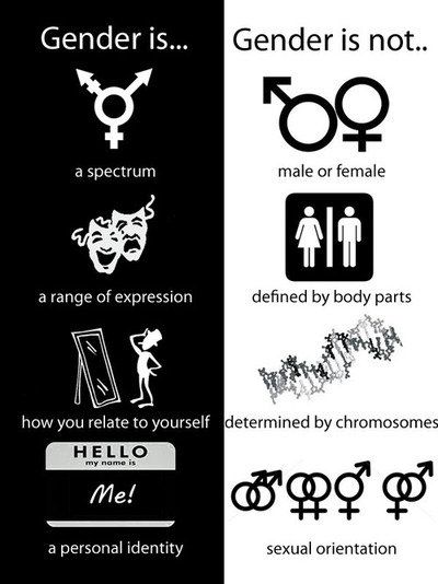 File:Gender is.. Gender is not...jpg