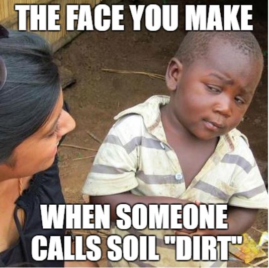 File:Soha Ahmadi's Soil Meme.JPG