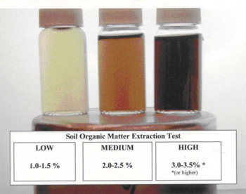 SOM Extraction Test