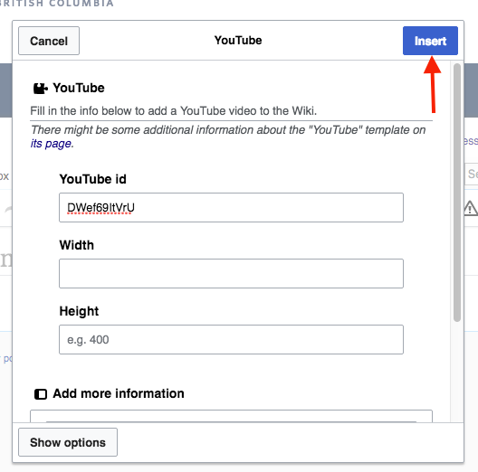 File:Adding parameter for youtube video.png
