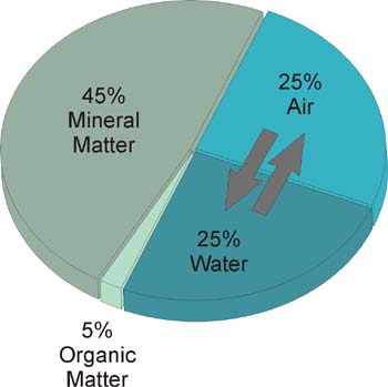 File:Soil Components Pie Chart.jpg