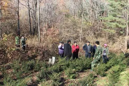 File:Forestry interested stakeholders in Baishan city.png