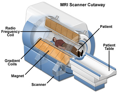 File:MRI Scanner diagram, including key hardware components (Magnet Academy, n.d.).jpg