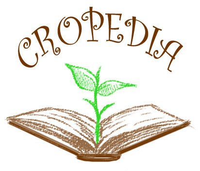 File:Cropedia logo.jpeg