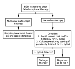 File:Dyspepsia Approach Fig 3.png