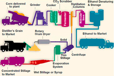 File:The production of bioethanol from corn in the US.png