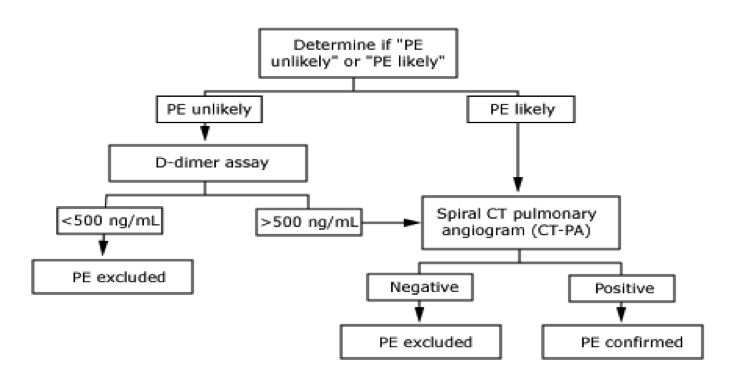 File:Chest Pain PE CT PA.png