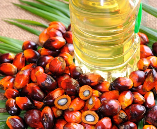 File:Palm Oil Mesocarp.jpg