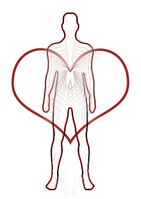 Heart rhythym body outline.jpg