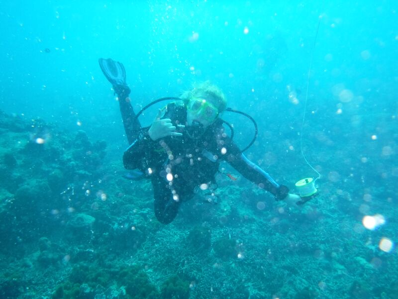 File:Diving - Seychelles 2019.jpg