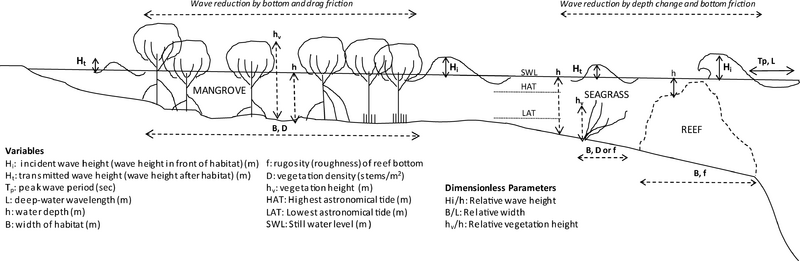 File:Effect of wave reduction by coastal habitats.png