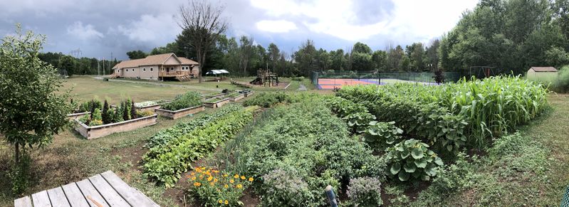 File:Vegetable Garden Panorama.jpg