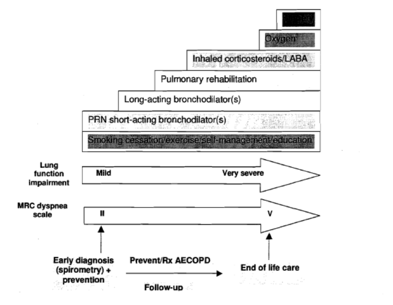 File:COPD Summary of treatment.png