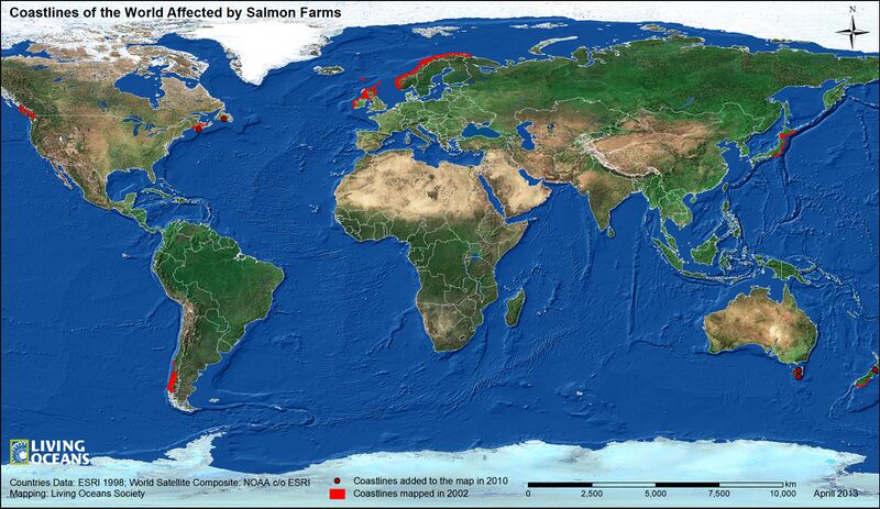 File:Coastlines of the World Affected by Salmon Farms.jpg