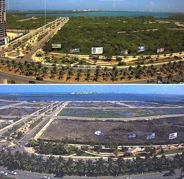 File:Mangroves loss in Cancun.jpg