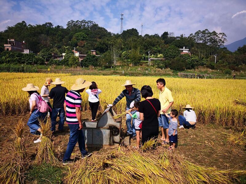 File:Collectivist Culture in PRC Tradition of Agricultural Community.jpg