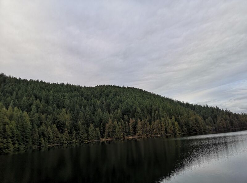File:Loon Lake at the Malcolm Knapp Research Forest 3.jpg