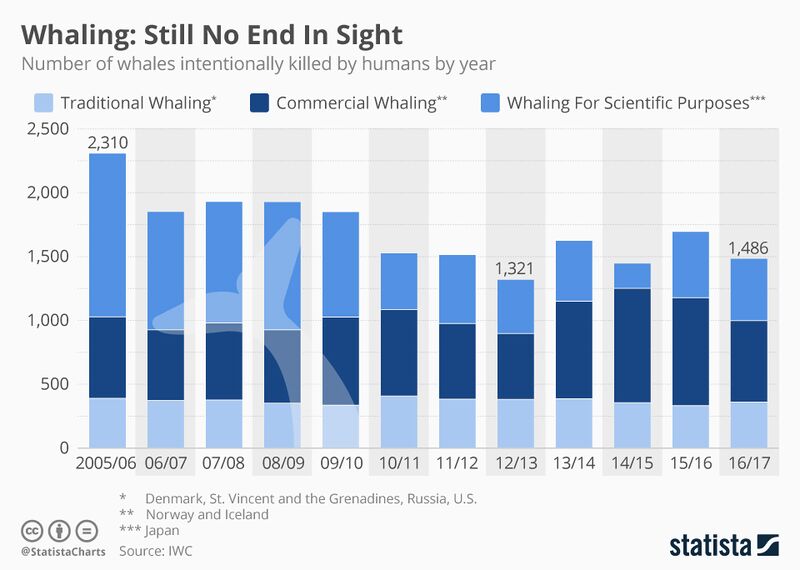 File:Whaling in the 21st Century.jpg