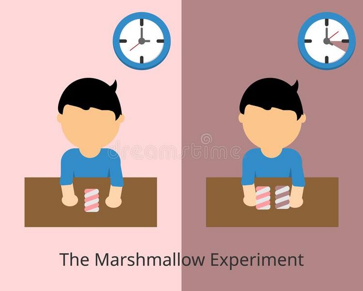 File:Marshmallow-experiment-delayed-gratification-instant-gratification-marshmallow-experiment-delayed-205316891.jpg