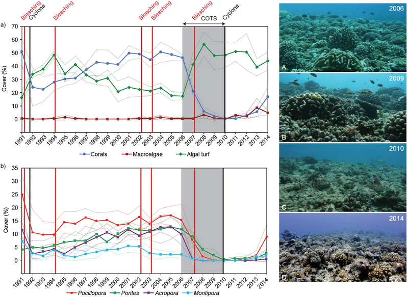 File:Coral decline data.webp
