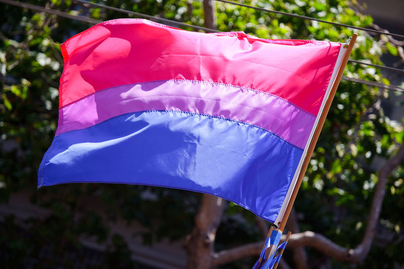 File:The Bisexual Flag.jpg