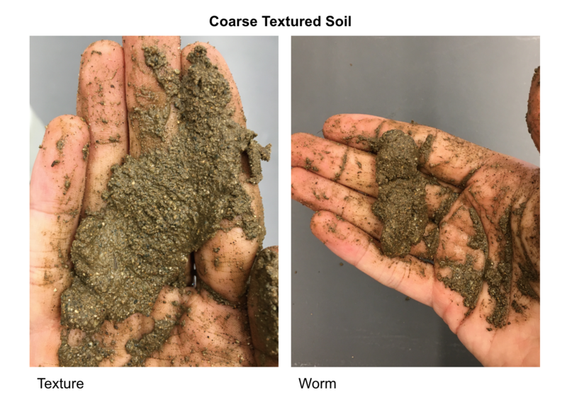 File:Coarse textured soil.png