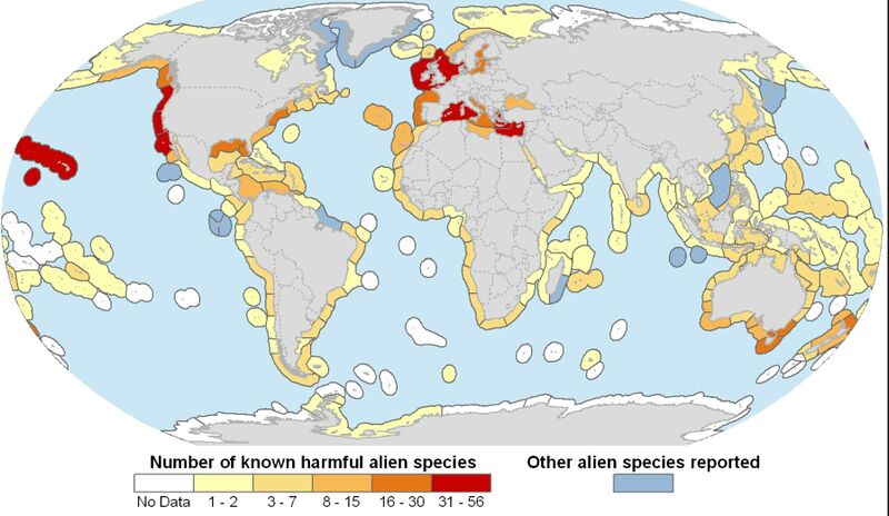 File:Global distribution of invasive species (Molnar et al., 2008).jpg