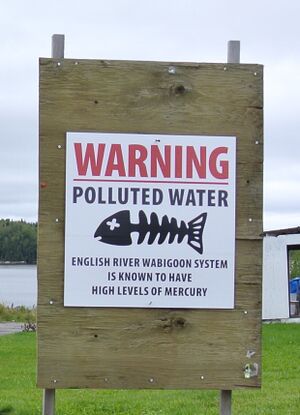 A sign placed in the Grassy Narrows First Nations indicating that a local river is contaminated with mercury.
