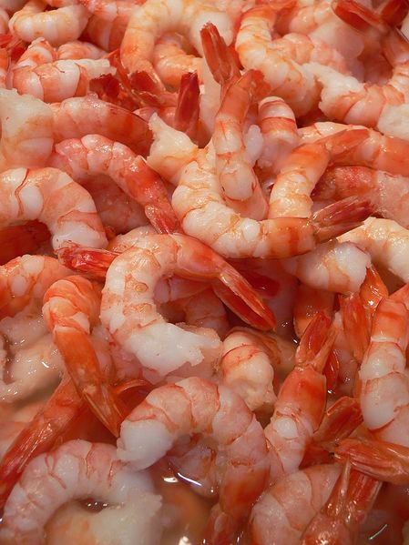 File:Shrimp raw.jpg