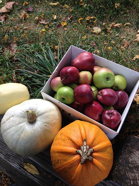 File:Apples and pumpkins.jpg